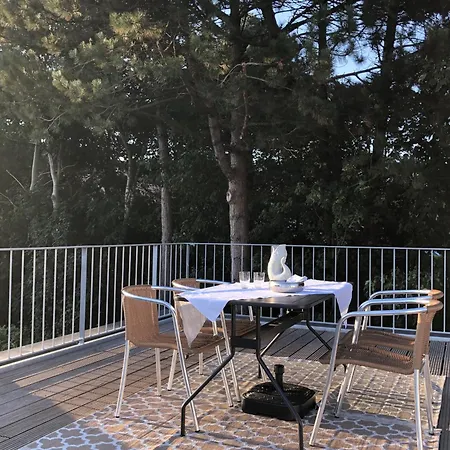 Vosshoern - Ausguck * קושהאבן